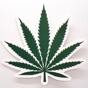 Succulent Cactus Plants Stickers 10 for $15